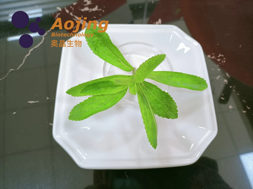 Manufacturer Bulk Price Natural Organic Stevia Extract Powder Sweetener Stevia Ra98% Stevia Glycoside